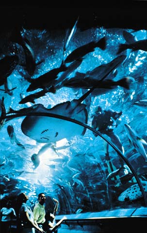 Underwater World